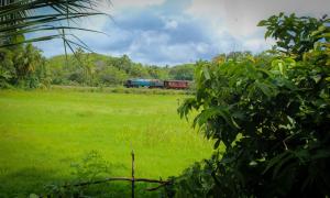 Phong cảnh thiên nhiên gần resort