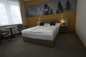 a bedroom with a large bed in a room at Vila Victory polopenze v Krušných horách in Abertamy