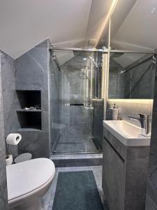 a bathroom with a shower and a toilet and a sink at Brick House in Slavske +16 photos