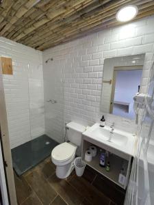 a bathroom with a toilet and a sink and a mirror at Basi Resort in Nombre de Dios +25 photos
