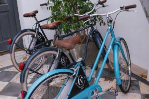 two bikes parked next to each other next to a tree at Posada El Viejo Consulado in Colonia del Sacramento