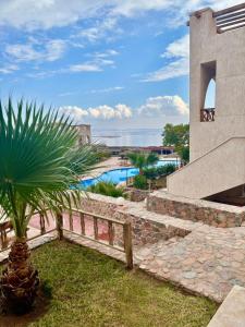 a palm tree in front of a building with a swimming pool at Poolfront Sea View Chalet Top Rated In Dahab in Dahab