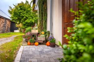 a porch with pumpkins and a bench next to a door at U Hudečků in Zadov