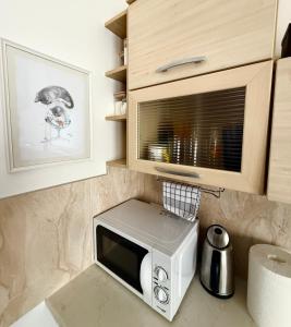 a kitchen with a microwave on a counter at CENTRO House in Alytus