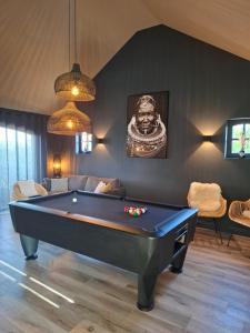 a living room with a pool table in it at Landhuys Odette in Retie