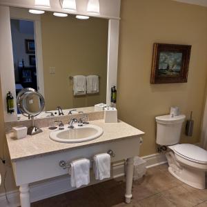 a bathroom with a sink and a toilet and a mirror at Riverbend Inn & Vineyard in Niagara-on-the-Lake +35 photos