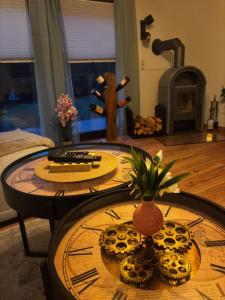 Gallery image of Macabu Luxus Villa Plauen in Plauen
