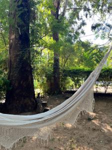 a hammock in a park with two trees at Casa Paso in Paso de la Patria