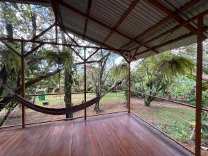 a screened porch with a hammock in a forest at Mayra Campground in Savegre +11 photos