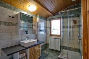 a bathroom with a sink and a shower at Rustica Apartments in Maribor