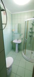 a bathroom with a toilet a sink and a shower at Pensiunea Bocca Del Rio in Gura Râului