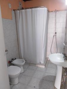 a bathroom with a shower and a toilet and a sink at La casita in Pringles