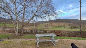 a dog sitting next to a wooden picnic table at Hébergement dans le vignoble du Mâconnais in Azé