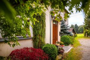 a house with ivy growing on the side of it at U Hudečků in Zadov
