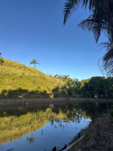 a view of a river with a palm tree in the background at Camping Místico - Vale do Ribeira in Juquiá +19 photos