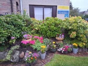 a bunch of flowers in pots in front of a building at Friars Bridge Guesthouse in Inverness +8 photos