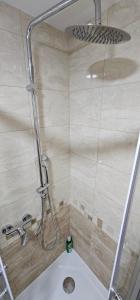 a shower stall with a toilet in a bathroom at Apartman Panorama 2 in Požarevac