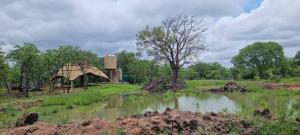 a field with a pond and a tree and a silo at Tsetsebjwe Lodge in Baines Drift