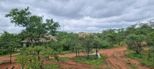 a dirt road in a field with trees at Tsetsebjwe Lodge in Baines Drift +2 photos
