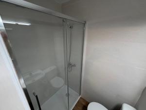 a glass shower in a bathroom with a toilet at Hostal Gran Capitán in Toledo +20 photos