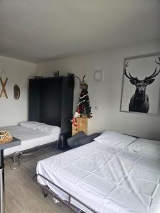 a room with two beds and a christmas tree at BENNY'S MOUNTAIN b&b in Pescocostanzo
