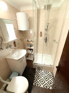 a bathroom with a shower and a toilet and a sink at Kuća za odmor Banja Koviljača in Banja Koviljača +13 photos