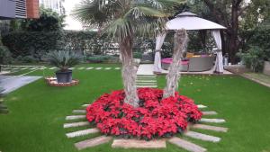 een tuin met een palmboom en rode bloemen bij BMK APART Otel in Antalya