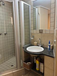 a bathroom with a sink and a shower at Mapungubwe Diamond's hotel in Johannesburg