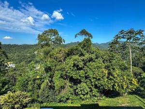a forest of trees with mountains in the background at Apartamento com 2 quartos a 5 minutos do centro in Brusque