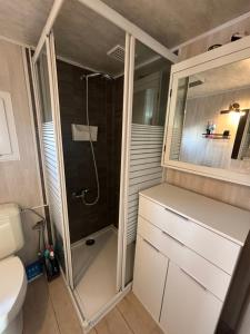 a bathroom with a shower and a toilet at Blue Sea Horizon in Wenduine