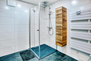 a shower with glass doors in a bathroom at FeWo Bad Mergentheim in Bad Mergentheim +38 photos