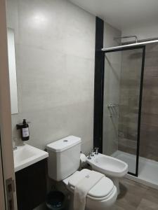 a bathroom with a toilet and a sink and a shower at zona balcarce in Salta +17 photos