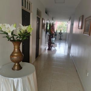 a hallway with a table with a vase on it at Hotel BSJ Neiva in Neiva