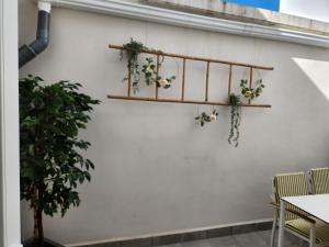 a white wall with shelves with plants on it at Pinedo Playa Holiday in Valencia