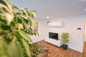 a living room with a flat screen tv and potted plants at FeWo Bad Mergentheim in Bad Mergentheim