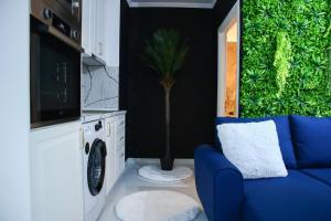 a living room with a blue couch and a plant at Amiri Lux Suites in Shkodër