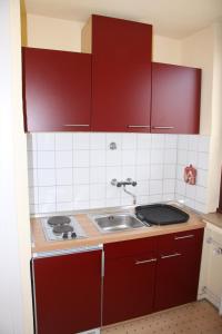 a kitchen with red cabinets and a sink at FeWo Bonn Sejour - Nähe UN-Campus u. WCCB in Bonn