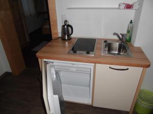 eine kleine Küche mit einer Spüle und einem Herd in der Unterkunft Pension & Ferienwohnung Dullnig in Gmünd in Kärnten