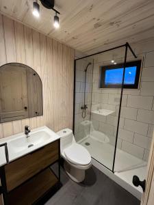 a bathroom with a toilet and a sink and a shower at Refuge with Panoramic Views, Cerro Castillo in Villa Cerro Castillo