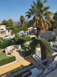 a view of a garden with a palm tree at Villa Erato in Rafina