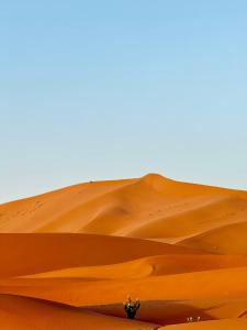 a sand dune in the middle of a desert at Royal Sands Camp - Erg Chigaga Luxury Camp in Mhamid