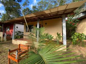 a house with a bench and a palm tree in front of it at Pousada Holística Alto do Sol in Nova Friburgo