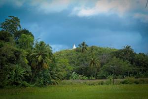 Phong cảnh thiên nhiên gần resort