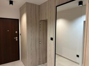 a hallway with a mirror and a closet with a door at Marepromo Jezera 1 in Jezera