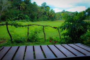 Phong cảnh thiên nhiên gần resort