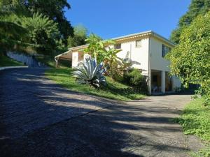 a house with a palm tree on the side of a road at Carbet Horizon in Le Carbet