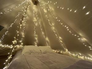 a room with a bed with lights on it at Glamping Rincón de Lavanda in Texcoco de Mora +9 photos