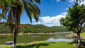 a view of a river with palm trees at casa Lucerna in Prado