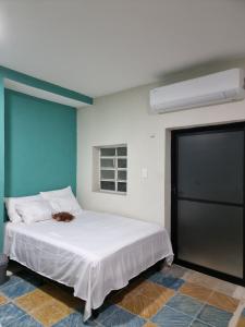 a cat laying on a bed in a room at Merida Centro House with Private Pool and Air Conditioning in Mérida +20 photos