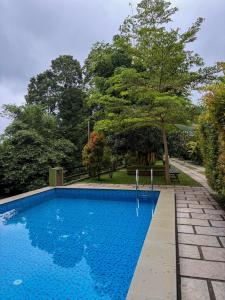 a large blue swimming pool in a park at Maple grove villa resort in Panamaram